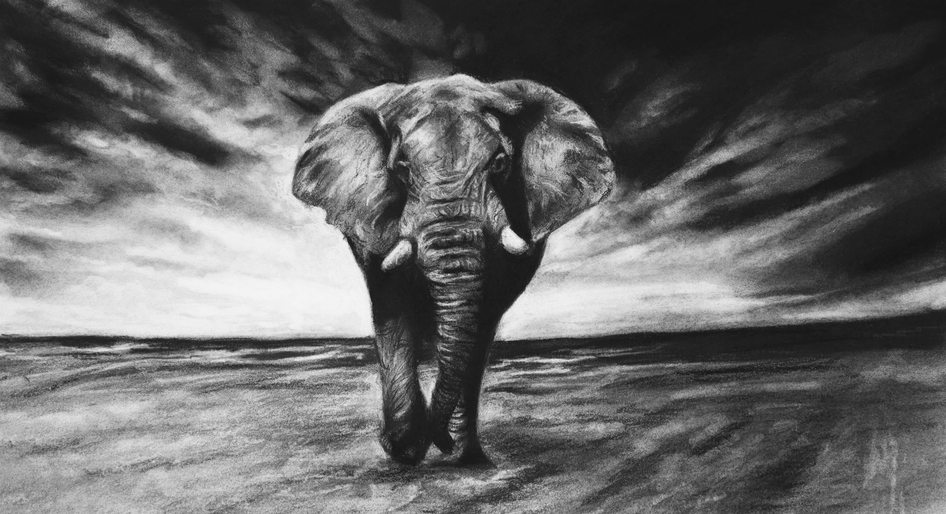 Realistic Drawing with Charcoal Strathmore Artist Papers